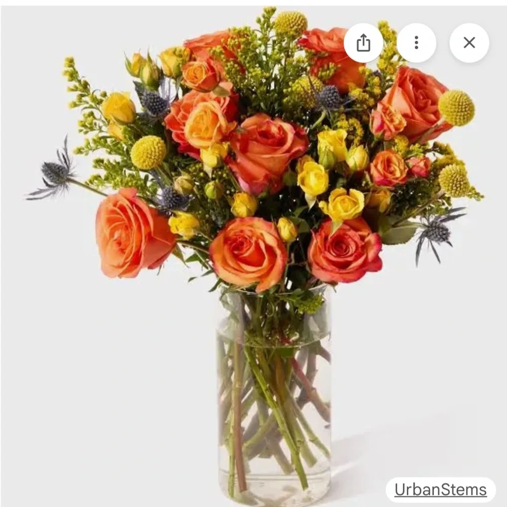 Diva Spring Collection - Picture 8 of 8